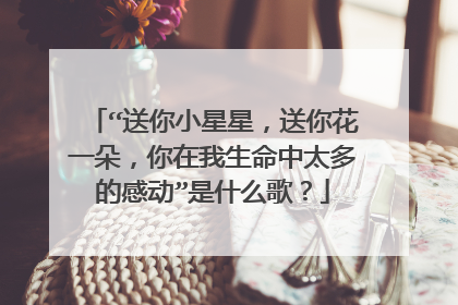 “送你小星星,送你花一朵,你在我生命中太多的感动”是什么歌?