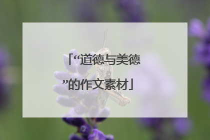 “道德与美德”的作文素材