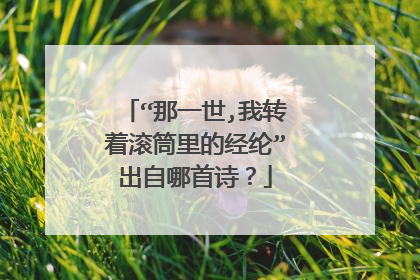 “那一世,我转着滚筒里的经纶”出自哪首诗？
