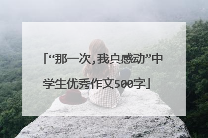 “那一次,我真感动”中学生优秀作文500字