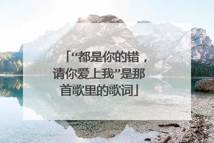 “都是你的错，请你爱上我”是那首歌里的歌词