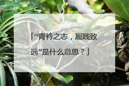“青衿之志,履践致远”是什么意思?