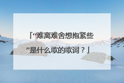 “难离难舍想抱紧些”是什么歌的歌词？