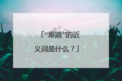 “难题”的近义词是什么？