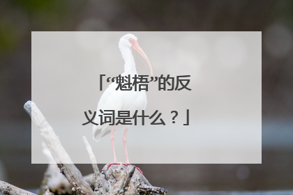 “魁梧”的反义词是什么？