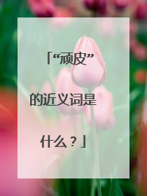 “顽皮”的近义词是什么？