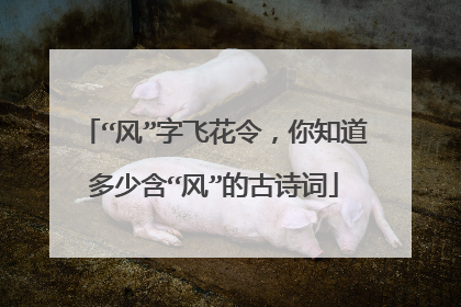 “风”字飞花令，你知道多少含“风”的古诗词