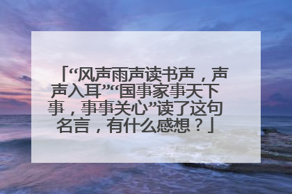“风声雨声读书声，声声入耳”“国事家事天下事，事事关心”读了这句名言，有什么感想？