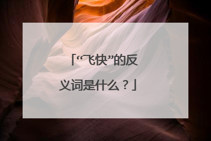 “飞快”的反义词是什么?