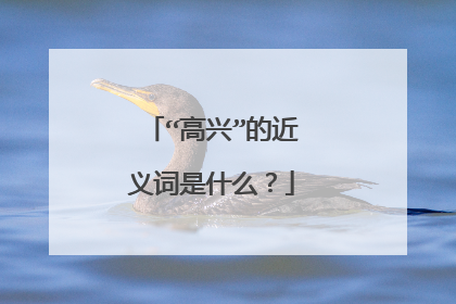 “高兴”的近义词是什么？