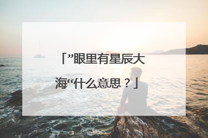 ”眼里有星辰大海“什么意思?