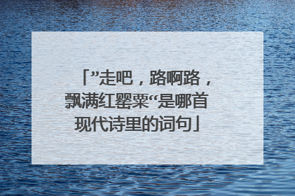 ”走吧,路啊路,飘满红罂粟“是哪首现代诗里的词句