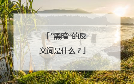 ”黑暗“的反义词是什么？