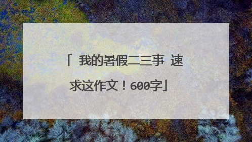 ↗我的暑假二三事↙速求这作文！600字