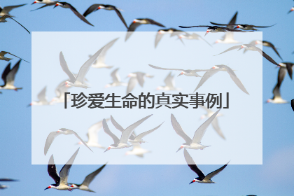 珍爱生命的真实事例