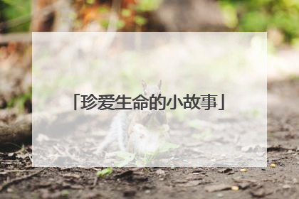 珍爱生命的小故事