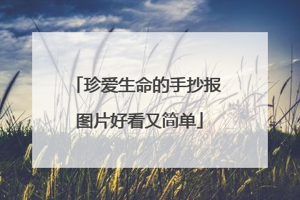 珍爱生命的手抄报图片好看又简单
