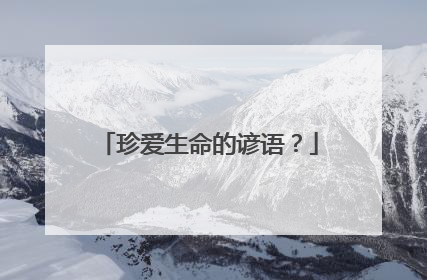 珍爱生命的谚语？