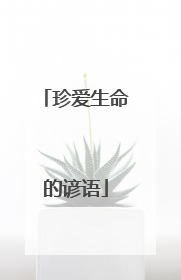 珍爱生命的谚语