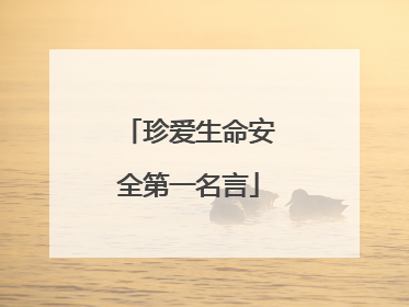 珍爱生命安全第一名言