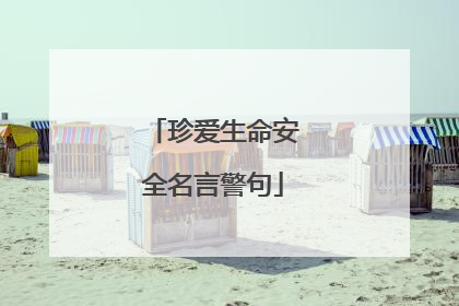 珍爱生命安全名言警句
