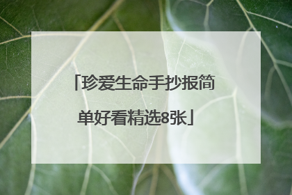 珍爱生命手抄报简单好看精选8张