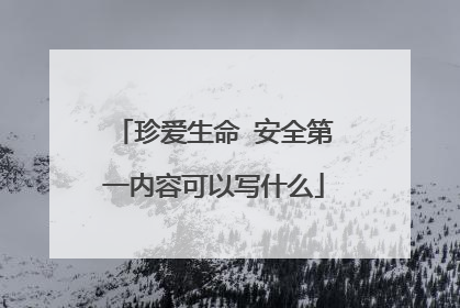 珍爱生命 安全第一内容可以写什么