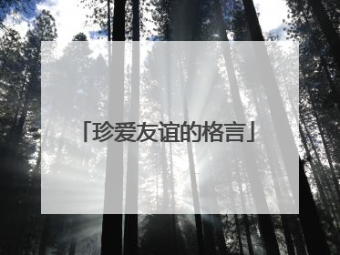 珍爱友谊的格言