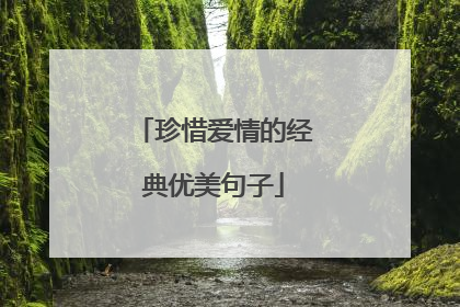珍惜爱情的经典优美句子