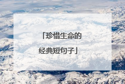 珍惜生命的经典短句子