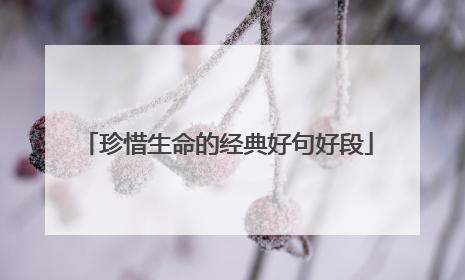 珍惜生命的经典好句好段