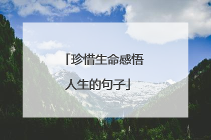 珍惜生命感悟人生的句子