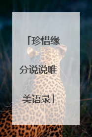 珍惜缘分说说唯美语录