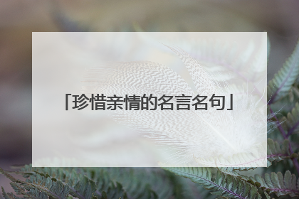 珍惜亲情的名言名句
