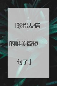 珍惜友情的唯美简短句子