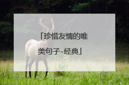 珍惜友情的唯美句子-经典