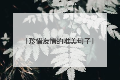 珍惜友情的唯美句子