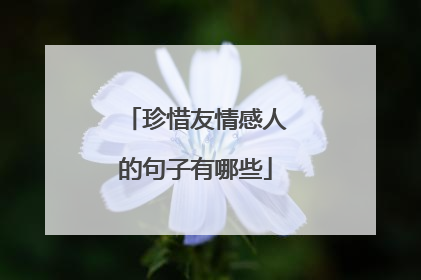 珍惜友情感人的句子有哪些