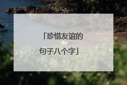 珍惜友谊的句子八个字