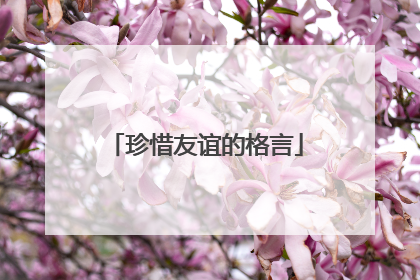 珍惜友谊的格言