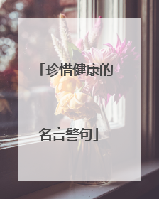 珍惜健康的名言警句
