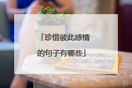 珍惜彼此感情的句子有哪些