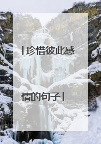 珍惜彼此感情的句子