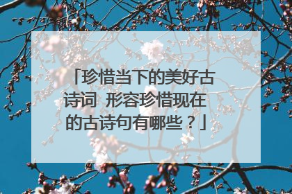 珍惜当下的美好古诗词 形容珍惜现在的古诗句有哪些?