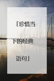 珍惜当下的经典语句