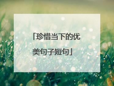 珍惜当下的优美句子短句