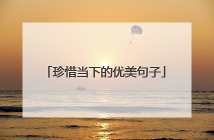 珍惜当下的优美句子