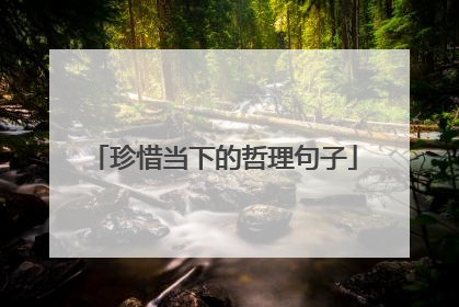 珍惜当下的哲理句子