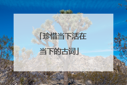 珍惜当下活在当下的古词