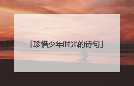 珍惜少年时光的诗句